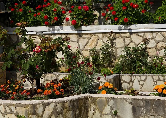 Jimmy's House * 尼基亚娜