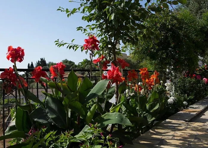 Jimmy's House 公寓 尼基亚娜